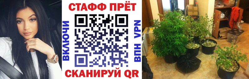 Виды наркотиков купить Нижневартовск A-PVP МЕФ